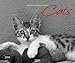 Cats 2014. PhotoArt Classic Kalender by 