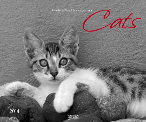 Cats 2014. PhotoArt Classic Kalender