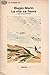 Produktbild La vita xe fiama e altri versi, 1978-1981 (Gli struzzi) (Italian Edition)