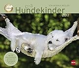 Image de Wegler Hundekinder Maxi Postkartenkalender - Kalender 2017