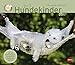 Wegler Hundekinder Maxi Postkartenkalender - Kalender 2017 by
