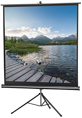 Celexon Ecran de projection sur pied celexon Economy 219 x 219 cm