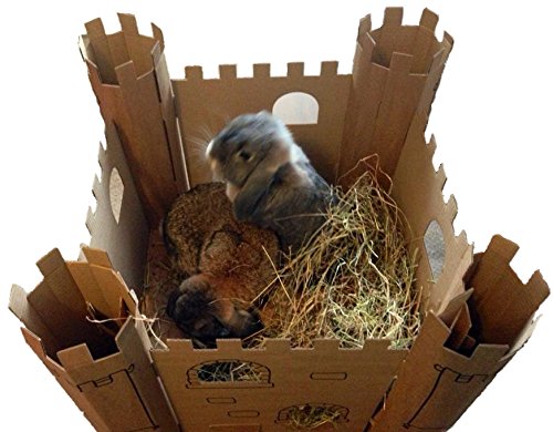 cardboard castle rabbit