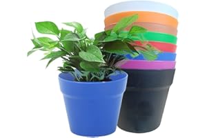 VGE Paquete de 8 macetas de plástico de 6 Pulgadas,macetas de plástico para Interior,macetas Resistentes y Elegantes para Plantas de Interior con Agujeros de Drenaje para Plantas,Flores,Colorido