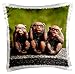 Produktbild 3dRose PC 112680 _ 1 3 Affen, Hören, Sehen, Nicht sprechen Evil-Pillow Fall, 16 von 40,6 cm
