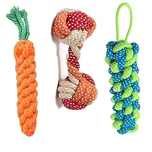 Pet Believe Combo of 3 Durable Cotton Made Rope Toys for Dogs & Puppies |2 Carrot Rope Toy | 1 Rope Dumbbell (Combo of 3)