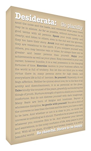 Feel Good Art A3 Modern Gallery Wrapped Typographic Thick Box Canvas (16 x 12-Inch, Beige, Desiderata Design)