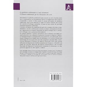 La gestione ambientale e i suoi strumenti. Il bilancio ambientale per la rilevazione