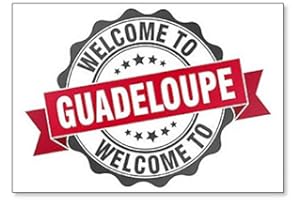 FOTO MAGNETS Aimant de réfrigérateur rond avec illustration de phoque Welcome to Guadeloupe