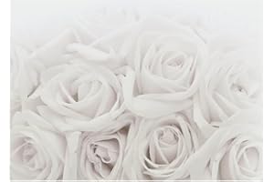 Runa Art Papier peint intissé fleurs roses 352 x 250 cm Toison Mur XXL Tableaux Muraux Tapisserie Photo Décoration Murale Salon Chambre grise 9258011c