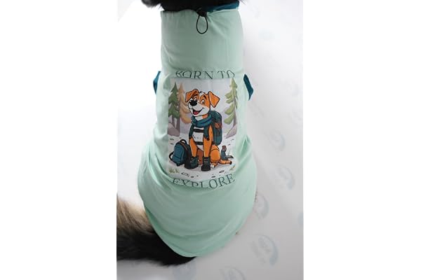 Thunder Tails Premium Cotton Dog T-Shirt Adjustable Neck for Medium Dogs Aqua 3XL for Boxer, Pitbull, Indie, Hound, Doberman & Dalmatian