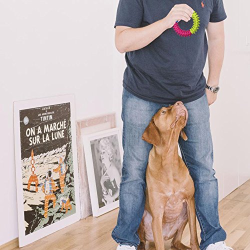 Pet-Dog-Rope-Toy-for-Small-to-Medium-Dogs-Set-of-10-Variety-Training-Toy-Gift-Set-for-Puppy-Doggie-Teeth-Cleaning-Assortment-of-Tassels-Tug-Rope-Chew-Cutton-Ball-Rubber-Dental-Toy