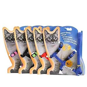 Sage Square Cat Playful Toys and Accessories - Multicolour