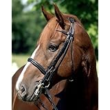 HKM 60769100 Kandarenzaum, rundgenäht, M, schwarz