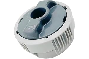 P05345 P03821 kemisk klordispenser kompatibel med Lay Z Spa pool, bubbelpool spa