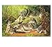 Produktbild chellonm (Kein Rahmen) Wolf Familie In Wald Tiere DIY Malerei by Zahlen Kits Färbung Farbe by Zahlen Handgemalte Einzigartiges Geschenk Für Wohnkultur