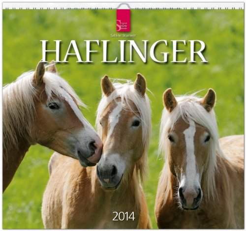 Haflinger 2014: Original Stürtz-Kalender - Mittelformat-Kalender 33 x 31 cm [Spiralbindung]