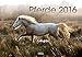 Pferde 2016 by