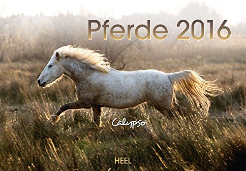 Pferde 2016