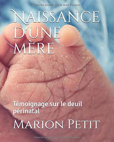 Télécharger Naissance d'une mère: Témoignage sur le deuil périnatal PDF Ebook En Ligne