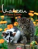 Katzen auf dem Lande 2012 / Cats 2012 / Chats 2012 by