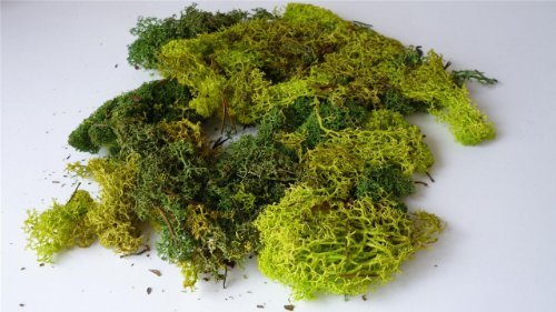 Mixed Green Model Scenic Lichen - Approx 60 grams by Javis