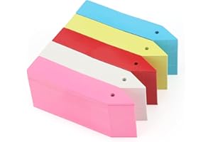 KINGLAKE 500 pz étiquettes plante semis etiquette plastique jardin potager,10X2CM, 5 color