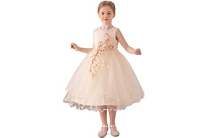 Lenefu Flower Girl Dress Toddler Formal Dress Birthday Party Wedding Floral Embroidered Tulle Satin Dresses for Kids 2-12Y