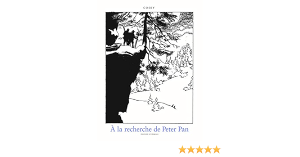 Disney Vs Versions Originales 3 Les Contes Modernes Romans Lebazarlitteraire