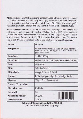 TROPICA – Wilder Feuermohn ( Stylomecon heteropyhllum-Copper Queen ) – 20 Samen - 5