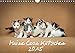 Kätzchen (Wandkalender 2015 DIN A4 quer): Maine Coon Kätzchen (Monatskalender, 14 Seiten) (CALVENDO Tiere) by 