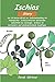 Produktbild Ischias - Story. Die 24 besten Mittel zur Selbstbehandlung mit Homöopathie. Ischiasschmerzen überwinden. Selbsthilfe bei Ischialgie. Schmerz im Ischiasnerv und Lenden-Wirbelsäule bewältigen