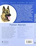 Image de Pastor Aleman / Greman Sheperd Dog