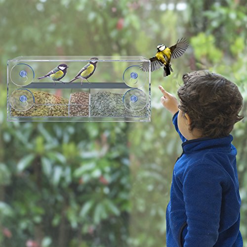 Frau Sauer Vogelhaus Fenster Modernes Vogelfutterhaus mit 4 haltbare Saugnäpfen, durchsichtiges Acryl - 6