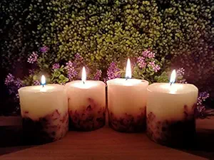 Wax Pillar Candle, Set of 4, Rose