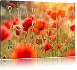 Für einen nahtlosen Übergang an den Kanten wird das Bild über diese hinausgedruckt. Weiße Fläche wird somit ideal überdeckt und das Bild hat einen schönen Übergang zur Wand. Alle Bilder werden mit hochwertigen, ökologischen Pigmenttinten gedruckt und bieten ein fantastisches Farbergebnis mit hohen Kontrasten. Überzeugen Sie sich selbst!