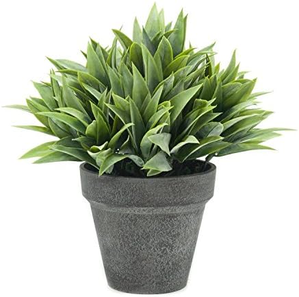 Velener Artificial Big Green Leaves Plant in Black Pot for Home Decor (Aspidistra Elatior)