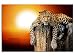 Produktbild kunst-discounter Bild Leinwandbilder Leopard im Sonnenuntergang in Afrika A05375 150 x 100 cm