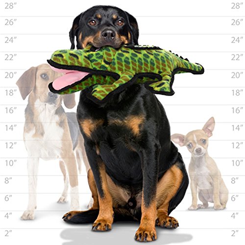 Tuffy-Ocean-Creature-Dog-Toys
