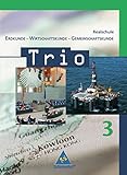 Trio Erdkunde, Wirtschaftskunde, Gemeinschaftskunde: Realschule Baden-Württemberg, Teil 3 by 