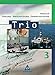 Trio Erdkunde, Wirtschaftskunde, Gemeinschaftskunde: Realschule Baden-Württemberg, Teil 3 by 