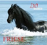 Friesen Postkartenkalender 2009: Mohn Media by