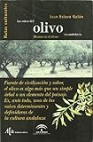  Las rutas del olivo en Andalucía : Masaru en el olivar