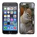 Produktbild Hülle Case Schutzhülle Cover Premium Case // F00029818 Essen des Eichhörnchens // Apple iPhone 6 6S 6G 4.7"