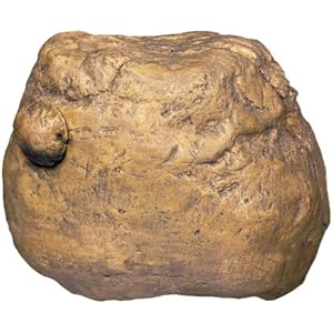 Exo Terra PT2821 Fuetterungsfels