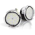 MACHSWON 2pcs Full LED Side Mirror Puddle Light Assembly with 6000K Xenon White Replacement Fit for Ford F-150 Expedition Explorer Edge Flex Fusion Taurus X