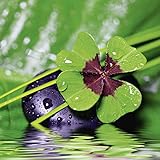 DRUCK: Detailreiches Druckbild mit brillanten und leuchtenden Farben I rückseitig bedruckt I geruchsfrei