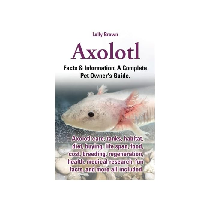 Buy Axolotl Axolotl care, tanks, habitat, diet, buying, life span