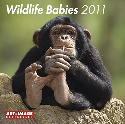 Wildlife Babies 2011 (Square Wall Cal)
