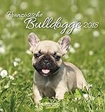 Französische Bulldogge 2018: aufstellbarer Postkartenkalender by